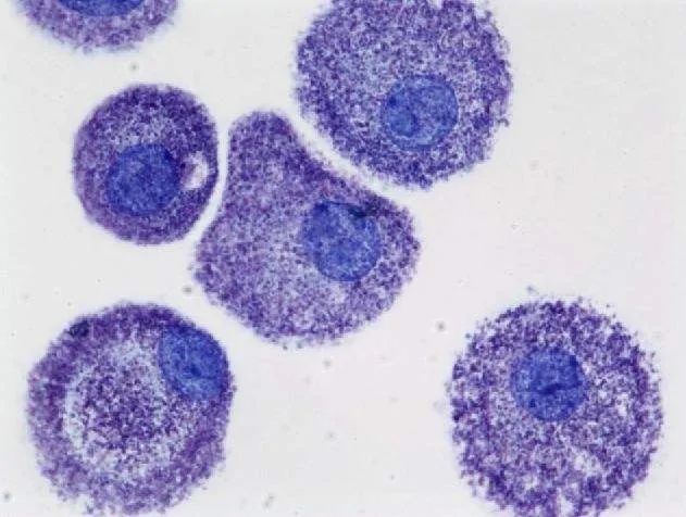 微信圖片_20220812133417.jpg 微信圖片_20220812133417.jpg